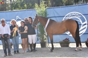 Vice-championne des femelles de 2 ans, Karma des Musardes s'adjuge cette fois le titre ! - ph. Poney As