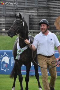 Kaiser Storm Alias est sacré champion des mâles PFS de 3 ans – ph. Poney As