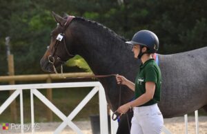 Lou Mydarlin'Gascogne est sacré champion suprême – ph. Poney As