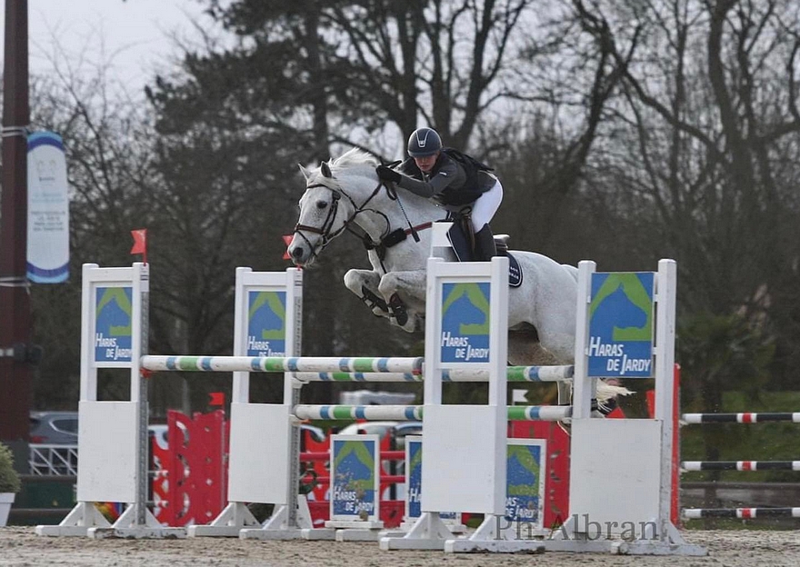Prince de Joux – ph. élevage d’Albran