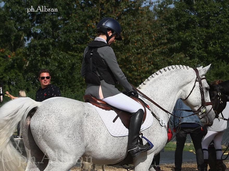 Prince de Joux – ph. élevage d’Albran