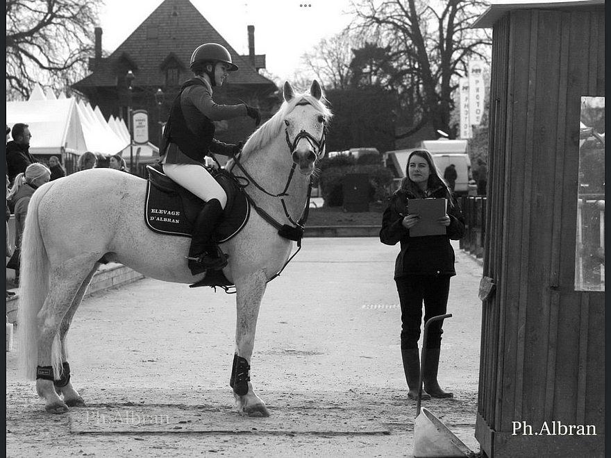 Prince de Joux – ph. élevage d’Albran