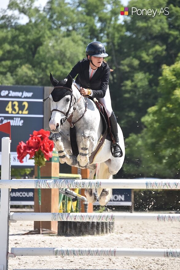 Hanoï Vimaje, par Ulk d'Été, 3e de la Coupe des 7 ans, IPO 139/25