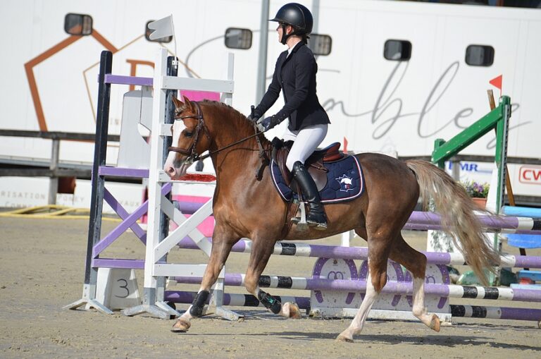 King Kong Star d'Été - ph. PSV