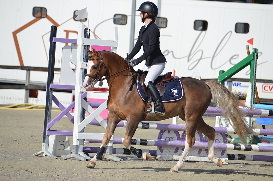 King Kong Star d'Été - ph. PSV