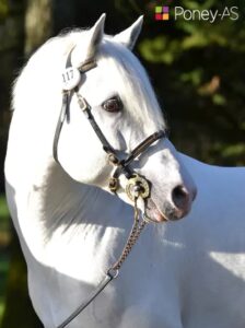 Ice and Fire d’Albran – ph. Poney As