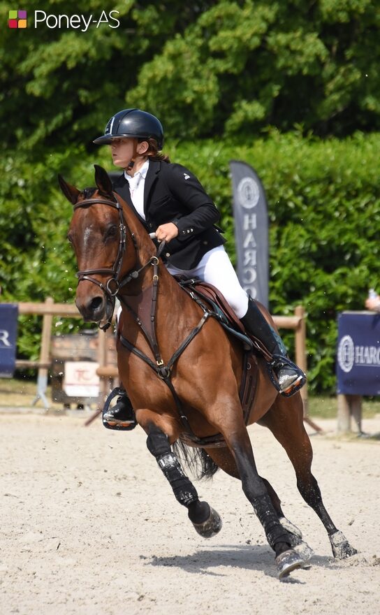 La prochaine compétition de Paul Barussaud et Vahiné de Kergroix est le CSIP de Cluny ce week-end - ph. Poney As
