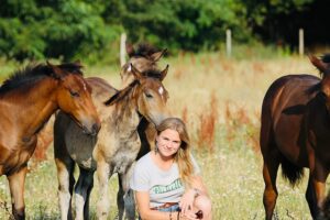 Le cru New Forest 2023 – ph. coll. Elevage de Kerser