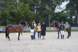 Les champions suprêmes New Forest : Meehaamoore de Oopss et Lou Mydarlin’Gascogne – ph. Poney As