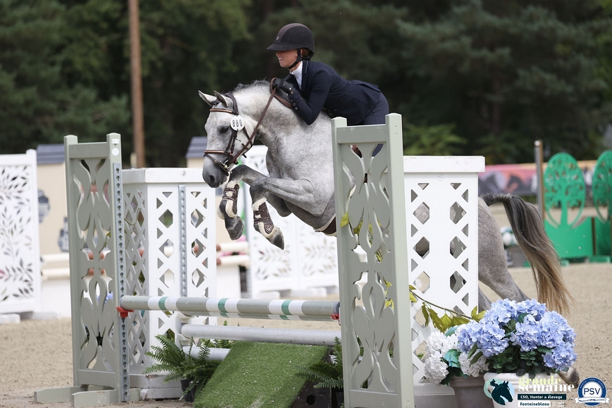 Kun Fu Pan d'Ame est champion des 4 ans de Hunter sous la selle de Nora Bennoui – ph. PSV
