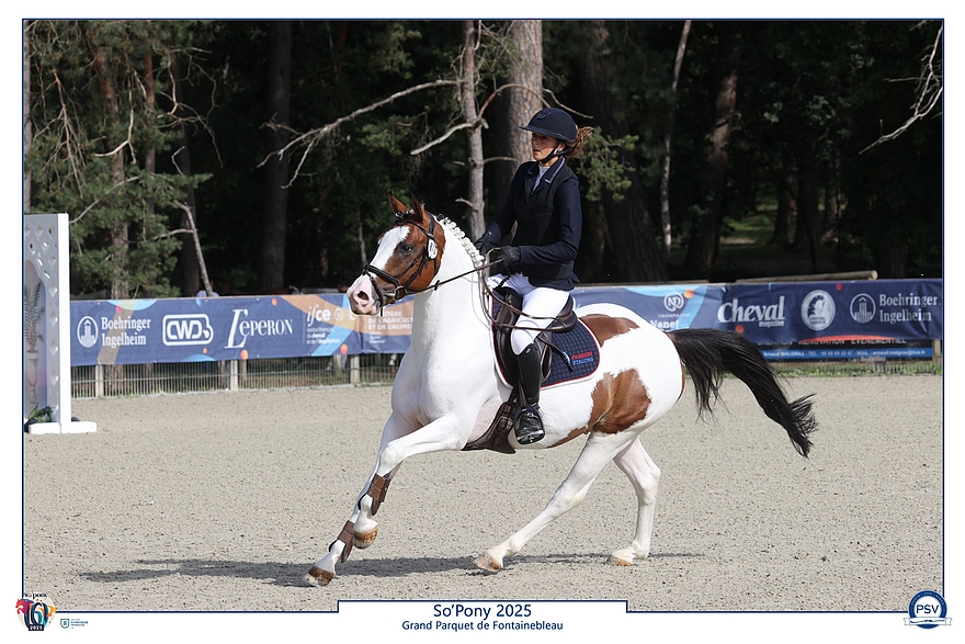 John Deere du Rouget - PSV