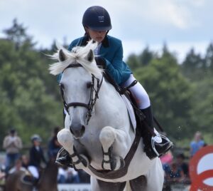 Belford des Dauges – ph. Poney As