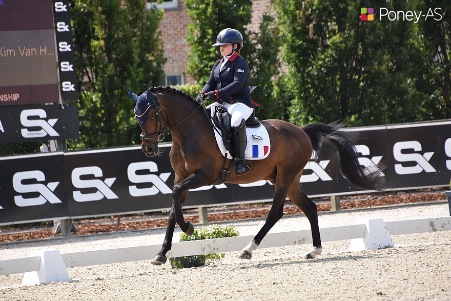 En selle sur son européen Vinkenhove Xander, Charlotte Pons s’est offert de jolis classements ce week-end lors du CDIP du Mans – ph. Poney As