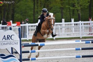 Gold Eternel Poune's - ph. Poney As