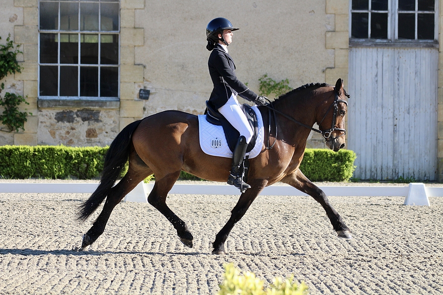Noémie Giraud et Cashmeer d’Eyguillere, leaders du classement provisoire après le dressage – ph. Maeva Montret