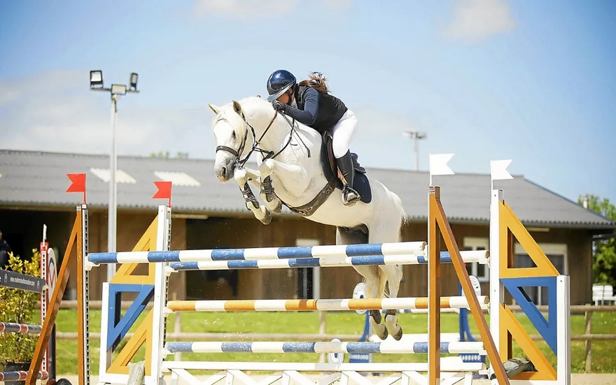 Mael Kervella et Elveen Dream Vincou remportent le Grand Prix As Excellence de Montfort-sur-Meu - ph. coll. privée