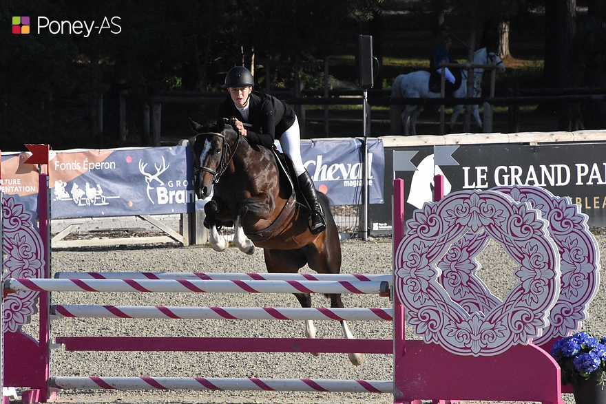 Karma des Chouans est la nouvelle championne des 5 ans D – ph. Poney As