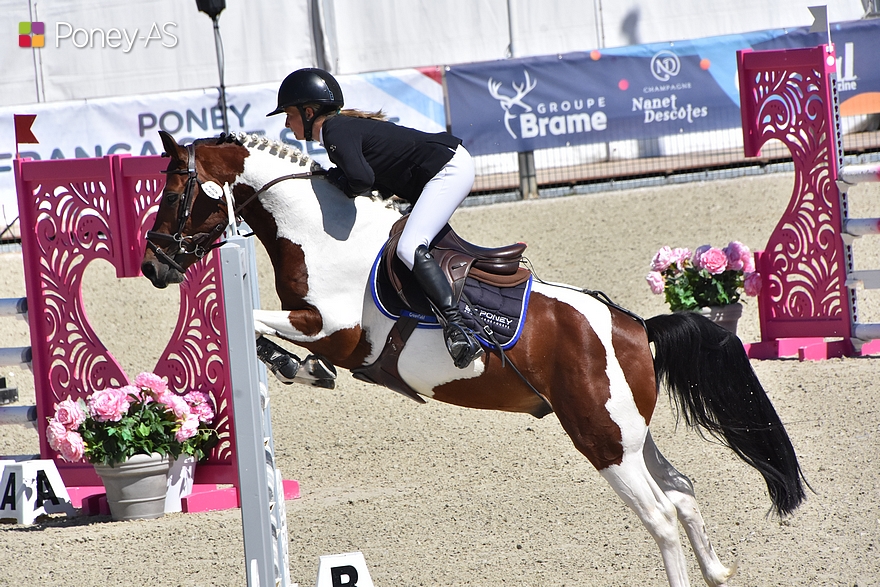 Jasmin de Laubelle est vice-champion des mâles et hongres 6 ans D avec Morgane Ferchaud – ph. Poney As
