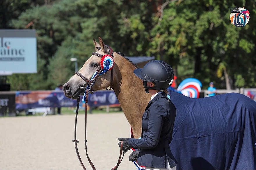 Lover Boy d'Izana sort victorieux de la finale des 4 ans avec Salomé Cronnier – ph. PSV / Grande Semaine
