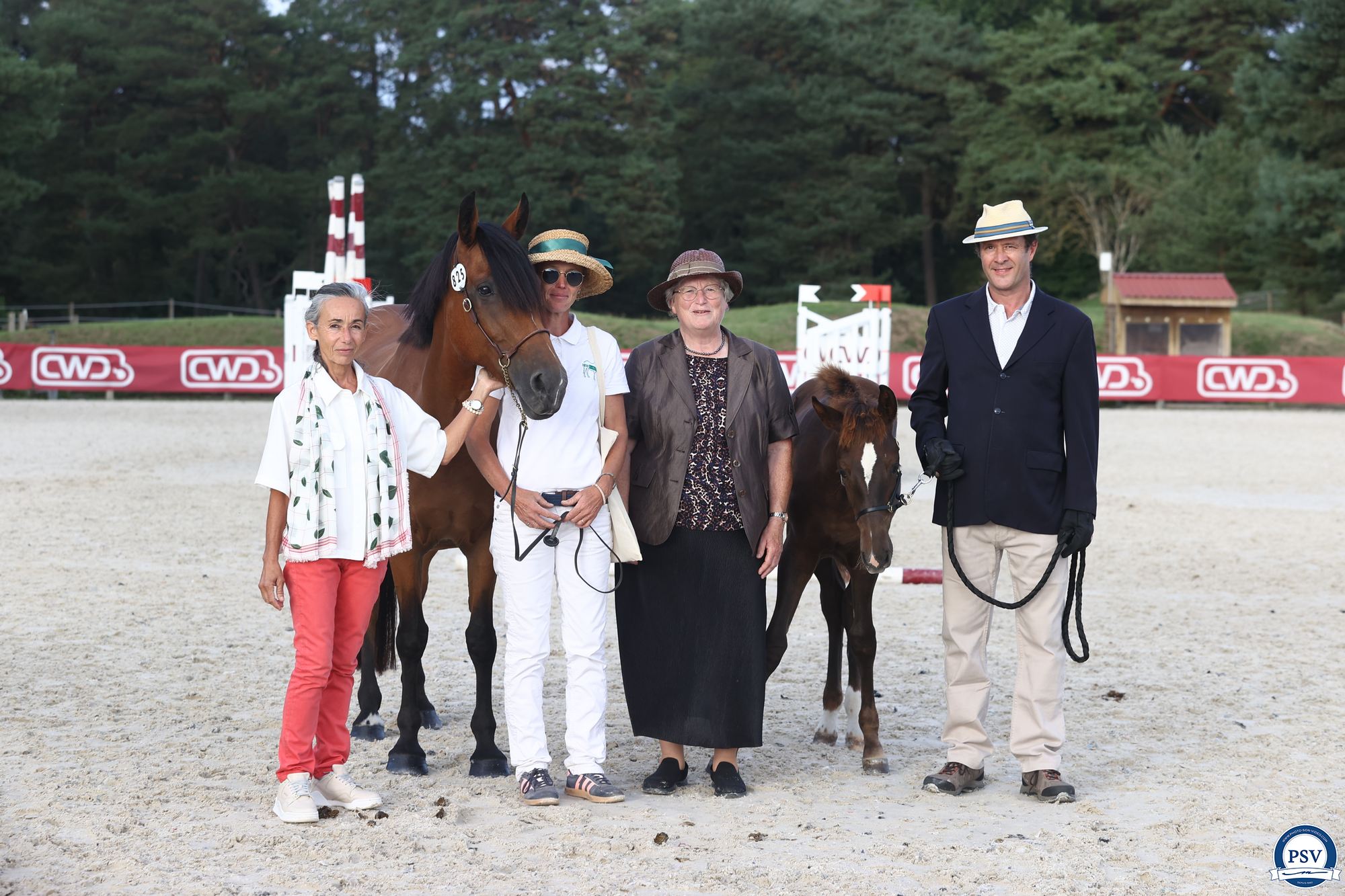 Carmen de Gascogne, lauréate de la classe des poulinières suitées - ph. PSV