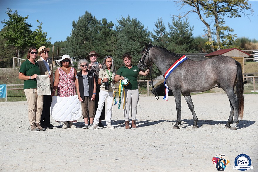 Niamh du Sept, le champion suprême New Forest - ph. PSV