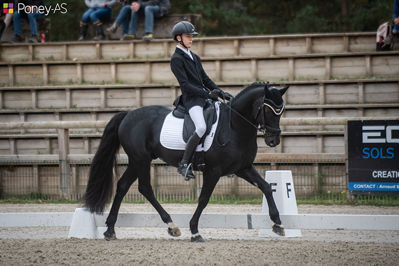 CCIP2-L - Noa Pelle et Gin GT la Templerie - ph. Marine Delie