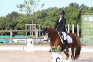 Le Wesh B Darshaan Bloo est gratifié du meilleur IPD cette saison sous la selle de Léna Urvoy - ph. Arthur photography