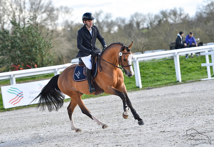 Kilkenny Gravière - ph. Ambregtnphotos