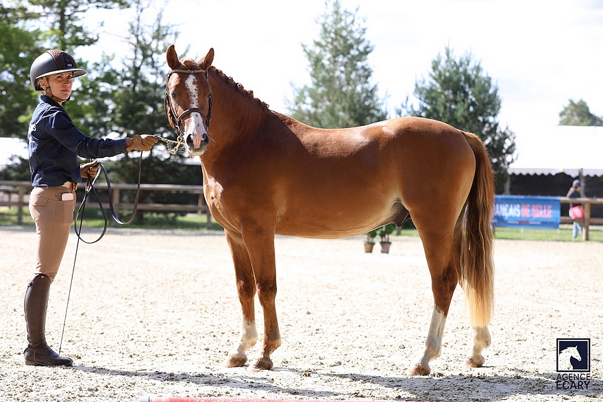 Notorious Star Alias - ph. Agence Ecary