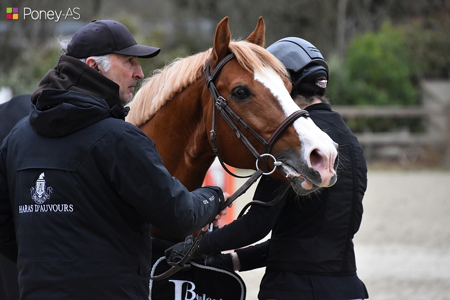 L'étalon Pfs Champagne d’Ar Cus vainqueur du Grand Prix As Excellence