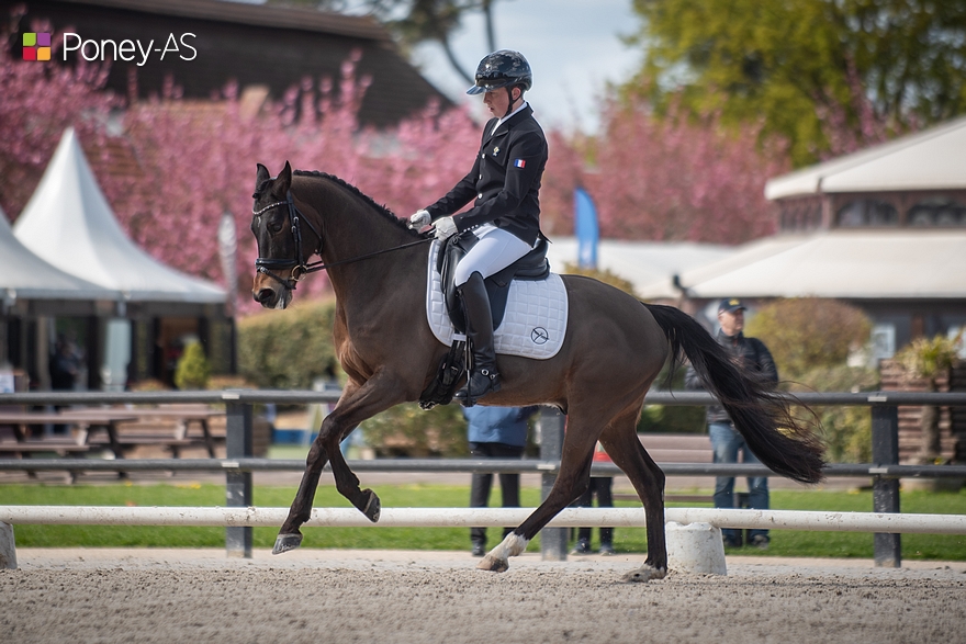 Timothé Viaud et Bredenhof’s Midnight – ph. Marine Delie