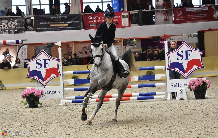 Hélios de Tirepeine - ph. Poney As