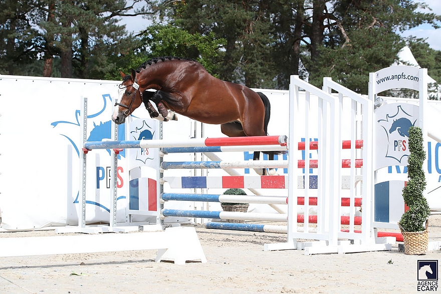 My Perfect Grenadine – ph. Agence Ecary