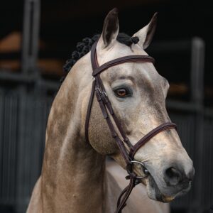 Umour Briard – ph. coll. privée