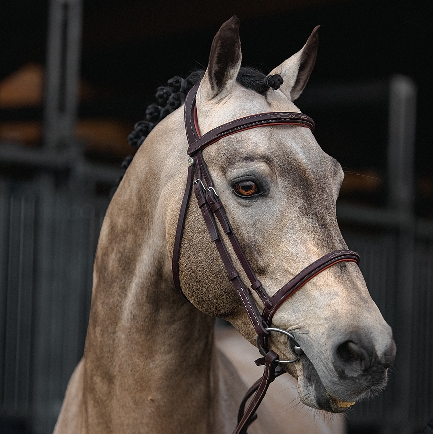 Umour Briard – ph. coll. privée