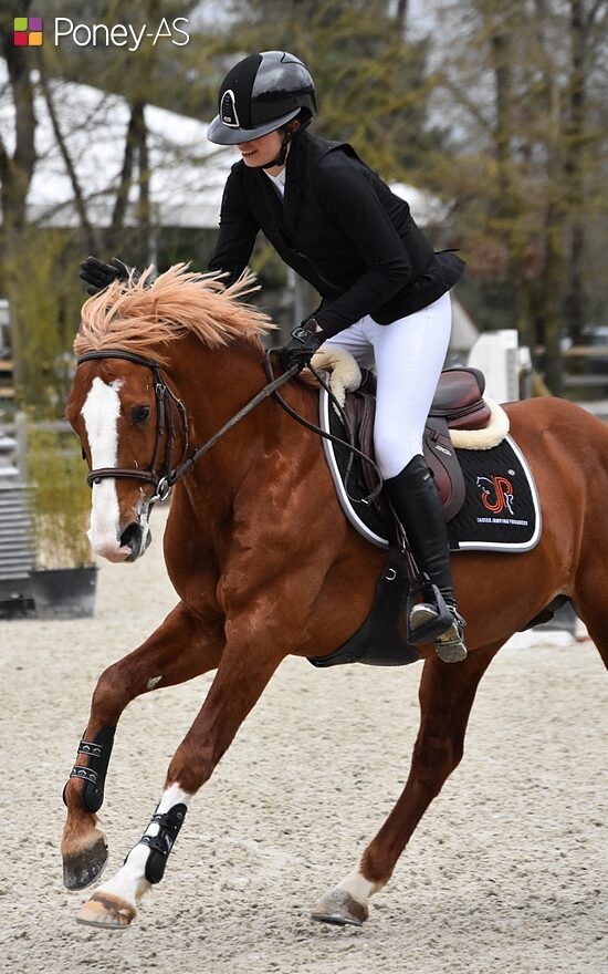 Hortense de Beaulieu et Champagne d’Ar Cus décrochent la deuxième place du Grand Prix à 1,25 m du CSIP d’Opglabbeek - ph. Poney As
