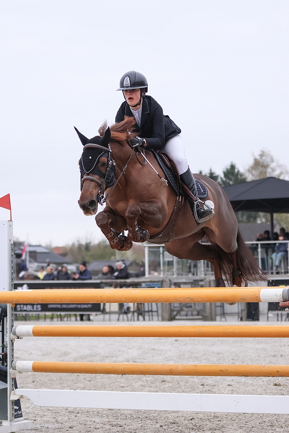Deux sans-faute et deux victoires ce week-end à Villers-Vicomte pour Victoire Duhamel et Habanera du Loir - ph. Horse Picturing