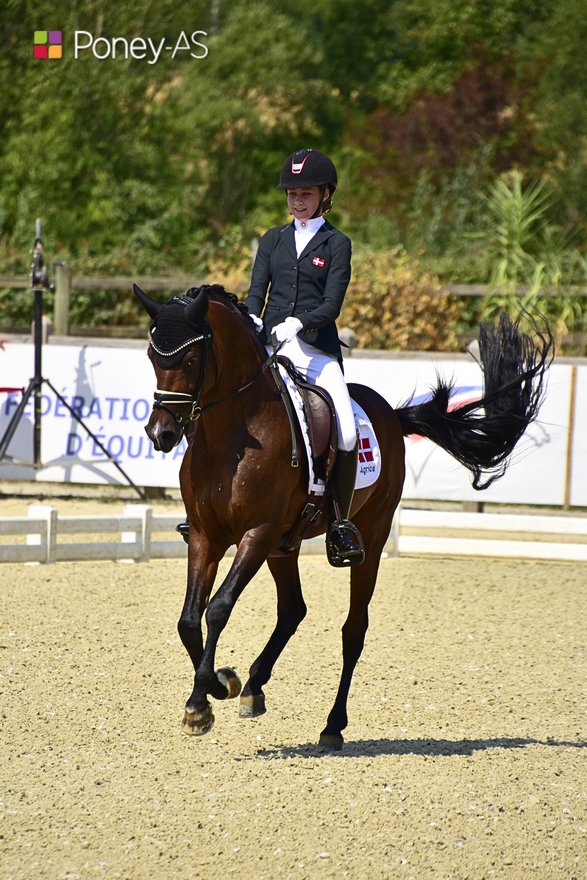 La Danoise Steffanie Victoria Horsted Dyrlund associée à l’étalon Cosmo Callidus NRW – ph. Poney As