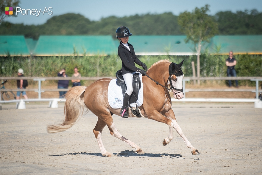 Roxane Scherer, ici sur le test de dressage qu’elle remporte aux rênes de Goldwyn d’Embets, monte finalement sur la deuxième marche du podium – ph. Marine Delie