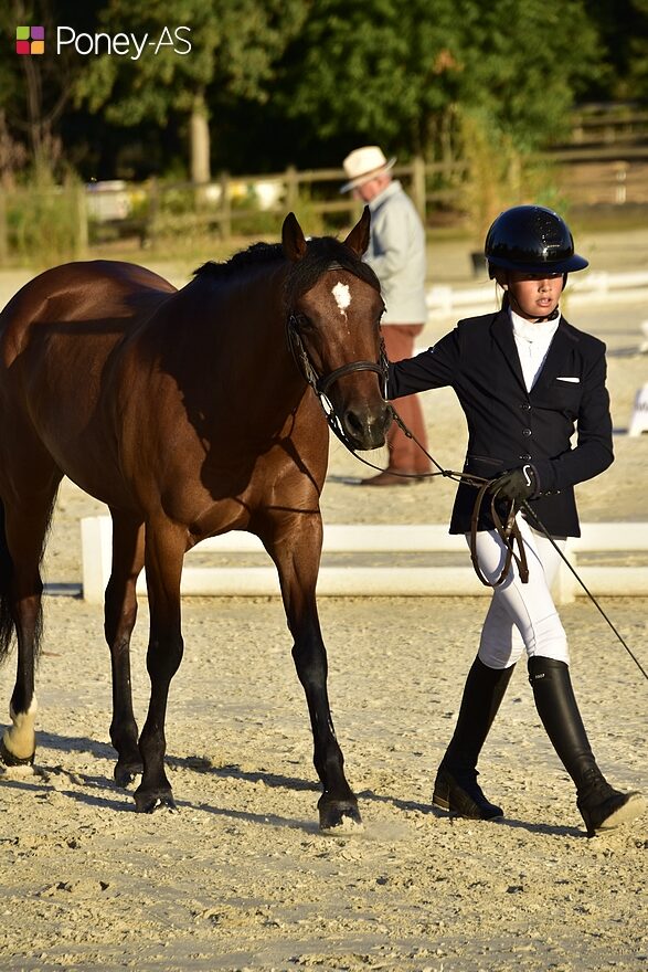 Mathilde et Iroquoise lors de la deuxième inspection vétérinaire de l’international sarthois - ph. Poney As