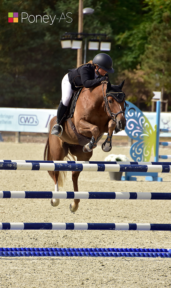 Joker de l’Étape est sacré champion des 7 ans sous la selle de Capucine Chateau Rondeau – ph. Poney As