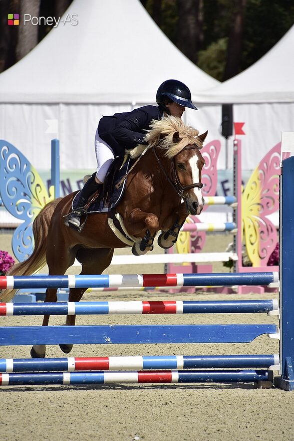 Lupin du Moulon est 2e sous la selle de Caroline Beccavin – ph. Poney As