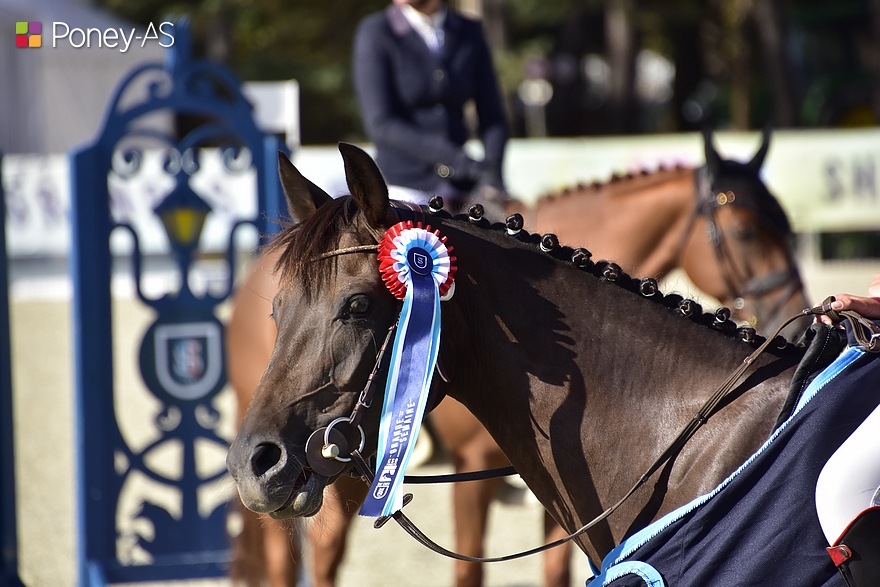 Korolle de Mai s’offre le titre de championne des 6 ans D - ph. Poney As