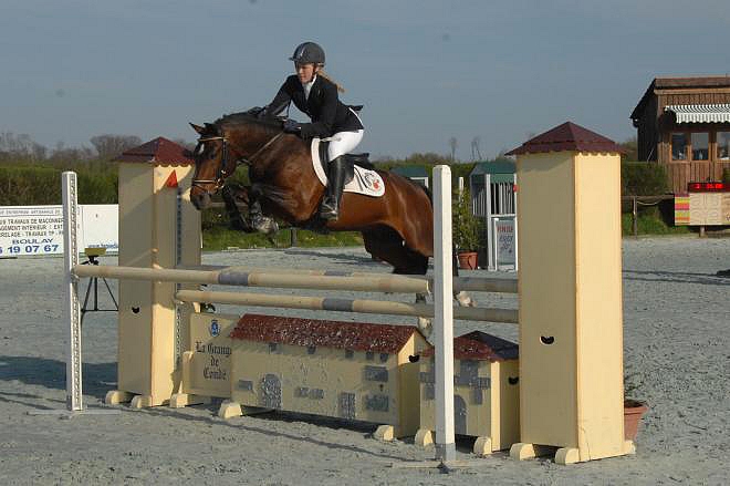 L’étalon Niloway de l’Arbalou (par Willoway Montmain Gold Charm) fut champion de France des mâles de 2 ans New Forest, puis vice-champion des 3 ans. Il a ensuite poursuivi sa carrière sur le circuit SHF, jusqu’aux épreuves des 7 ans, avant d’être vendu en Italie. – Ph. coll. privée