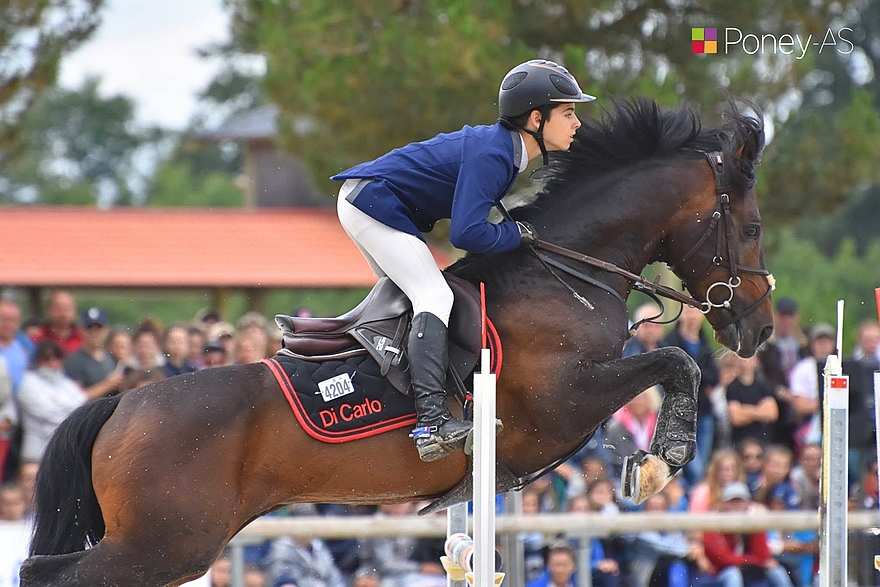 O’Fever de l’Arbalou (par Silverlea Spring Fever) s’est illustré en Grand Prix de CSO sous la selle de plusieurs cavaliers. Un excellent sauteur et, pour Isabelle Mémain, sans conteste le meilleur étalon à avoir vu le jour à l’élevage de l’Arbalou. - ph. Poney As
