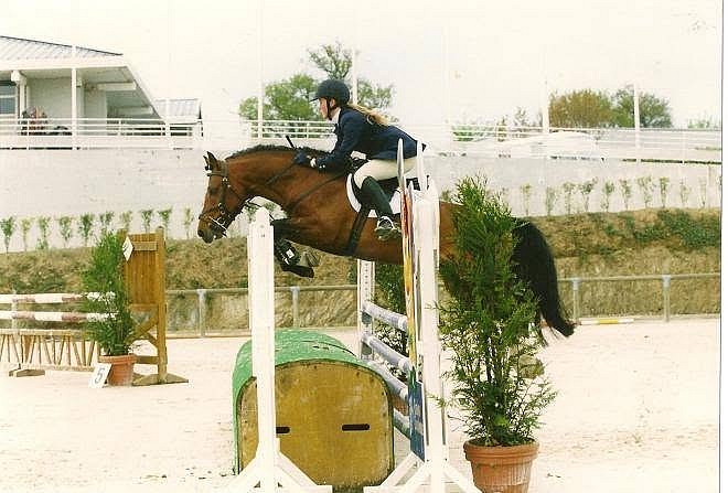 L'étalon Silverlea Baywatch (par Silverlea Flash Harry) fut finaliste du championnat de France C1 Élite de CSO - ph. coll. privée