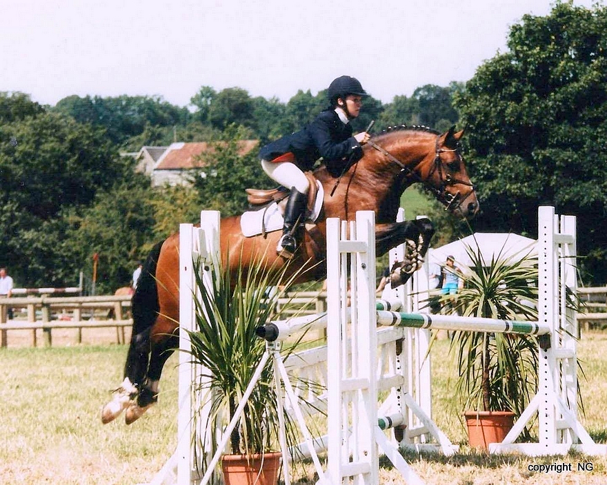 Willoway Montmain Gold Charm (par Woodrows Acting Master) fut champion suprême du National New Forest en 1999 et vice-champion l'année suivante. - ph. coll. privée