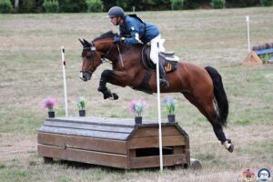 Déjà classé 3e de la finale des 4 ans, Louba Star Seizh Avel décroche cette année le titre de champion de France des 5 ans sous la selle de Simon Robichon - ph. PSV