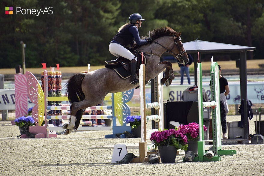 Sous la selle de Mélanie Morand, Kellinexter de Vienne est 4e - ph. Poney As