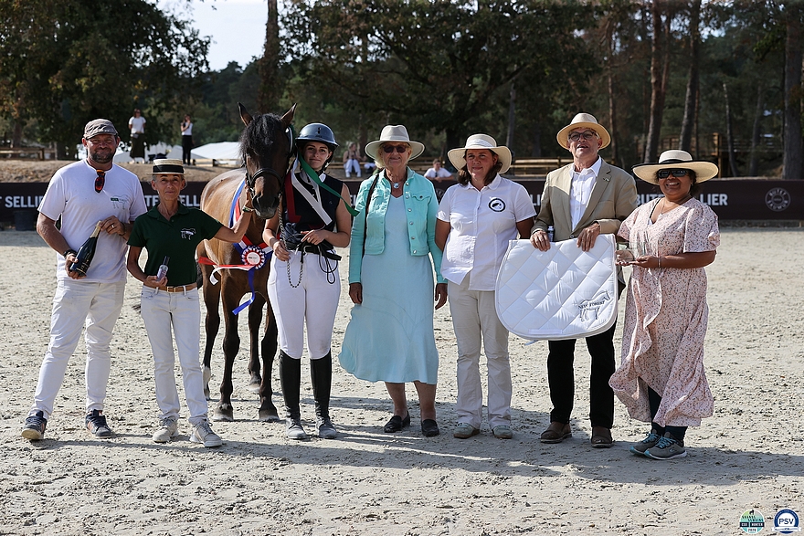 Jeune Amour d’Extra remporte la classe des poulinières non suitées et le titre de championne suprême New Forest - ph. PSV